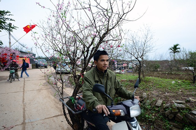 Người dân Thủ đô rộn ràng sắm Tết ảnh 9